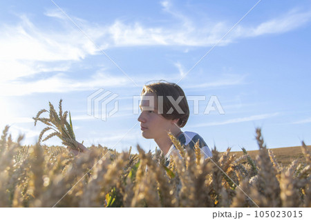 A young guy, a teenager with ears of ripe wheat in a farmer's field, against a blue sky. A young guy, a teenager with ears of ripe wheat in a farmer's field, against a blue sky. 105023015