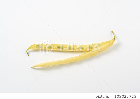 黄いんげんを白背景で 105023725