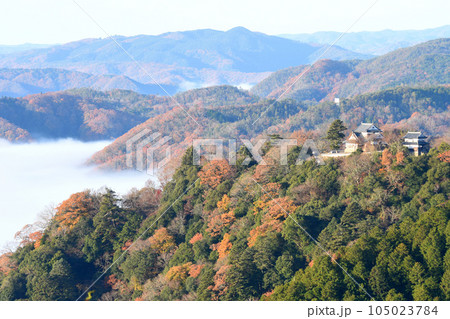 雲海に浮かぶ備中松山城（秋の紅葉） 105023784