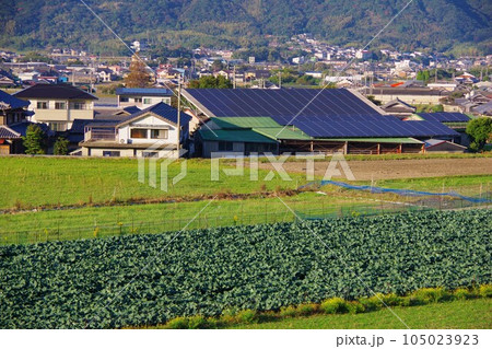 兵庫県淡路島　オニオンロードから洲本市の町を望む 105023923