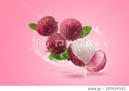 Fresh lychee or litchi fruit isolated on a pink background Fresh lychee or litchi fruit isolated on a pink background 105024581