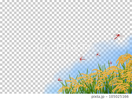 Illustration of rice ear and red dragonfly autumn frame 105025166