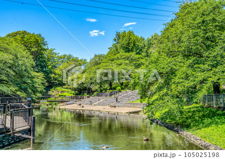 横浜市の都市風景 根岸公園 横浜市の都市風景 根岸公園 105025198