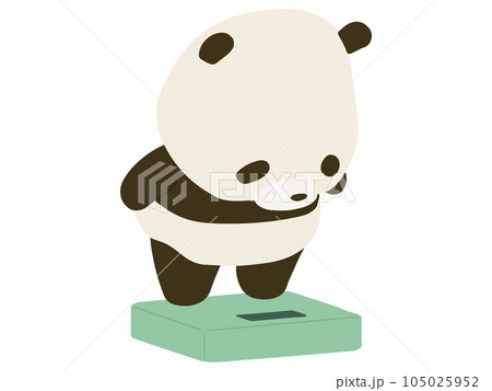 体重計に乗るパンダ 105025952