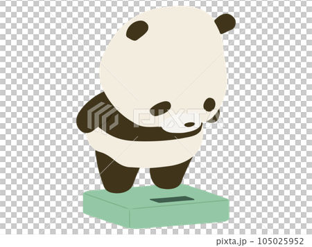 体重計に乗るパンダ 105025952