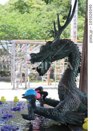 西教寺　滋賀県大津市　天台宗　風鈴祭　手水舎　比叡山坂本駅　JR京都線　JR琵琶湖線　明智光秀　 105026040