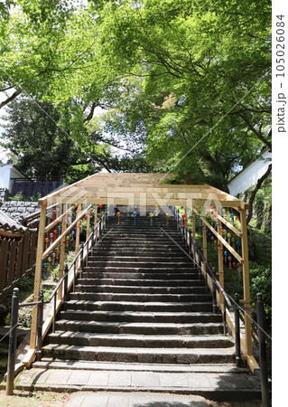 西教寺 滋賀県大津市 天台宗 風鈴祭 手水舎 比叡山坂本駅 JR京都線 JR琵琶湖線 明智光秀 西教寺 滋賀県大津市 天台宗 風鈴祭 手水舎 比叡山坂本駅 JR京都線 JR琵琶湖線 明智光秀 105026084