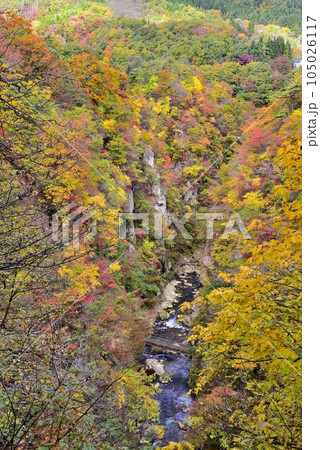 天下の絶景　鳴子峡の紅葉 105026117