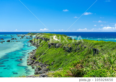 沖縄県宮古島 夏の東平安名崎 沖縄県宮古島 夏の東平安名崎 105026650