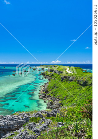 沖縄県宮古島 夏の東平安名崎 沖縄県宮古島 夏の東平安名崎 105026651