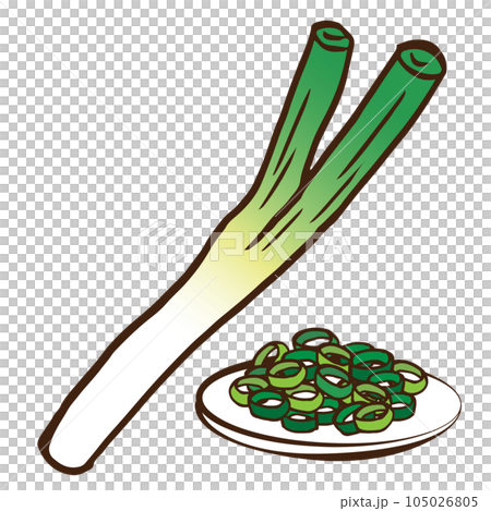 ネギとネギの輪切り薬味のイラスト 105026805