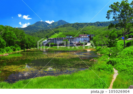 【長野県】晴天の志賀高原の蓮池 【長野県】晴天の志賀高原の蓮池 105026904
