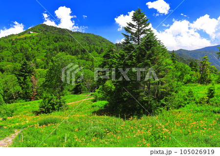 【長野県】東館山高山植物園と寺子屋山（志賀高原） 105026919