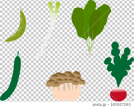 Ingredient vegetables used for cooking such as cucumber Ingredient vegetables used for cooking such as cucumber 105027263