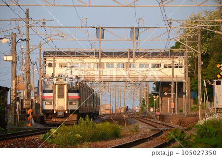 夕陽を浴びて朝里駅に到着する普通列車（後追い） 105027350