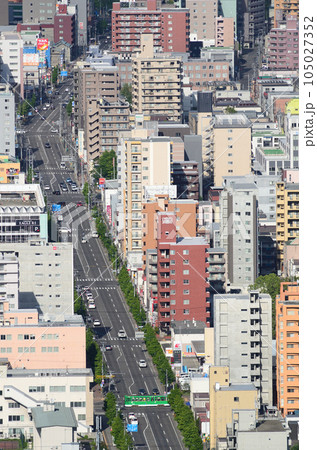 車体広告のないオリジナル塗装の札幌市電 車体広告のないオリジナル塗装の札幌市電 105027352
