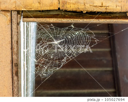 A spider web lightnen by the sun, old rural house. 105027694