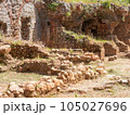 The ruins of a historical Byzantine town covered with green plants 105027696