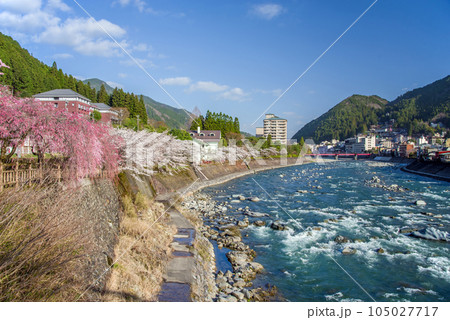 桜咲く下呂温泉街 桜咲く下呂温泉街 105027717