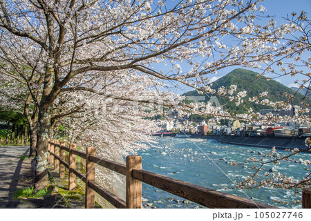 桜咲く下呂温泉街 桜咲く下呂温泉街 105027746