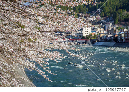 桜咲く下呂温泉街 桜咲く下呂温泉街 105027747