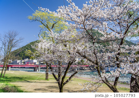 桜咲く下呂温泉街 桜咲く下呂温泉街 105027793