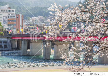 下呂温泉街【桜と下呂大橋】 105027827