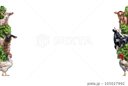 Horizontal frame with composition of cows, sheep and chickens. Farm animals graze in a field with bushes. Digital illustration on a white background. Template for design, postcards, posters Horizontal frame with composition of cows, sheep and chickens. Farm animals graze in a field with bushes. Digital illustration on a white background. Template for design, postcards, posters 105027992