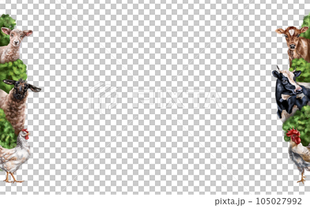 Horizontal frame with composition of cows, sheep and chickens. Farm animals graze in a field with bushes. Digital illustration on a white background. Template for design, postcards, posters Horizontal frame with composition of cows, sheep and chickens. Farm animals graze in a field with bushes. Digital illustration on a white background. Template for design, postcards, posters 105027992