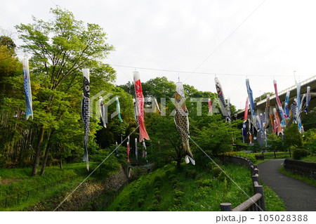 稲城市上谷戸大橋に掛かる鯉のぼり 稲城市上谷戸大橋に掛かる鯉のぼり 105028388