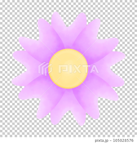 wildflower cactus flower in a watercolor style wildflower cactus flower in a watercolor style 105028576