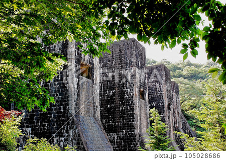 豊年池堰堤の景観 105028686