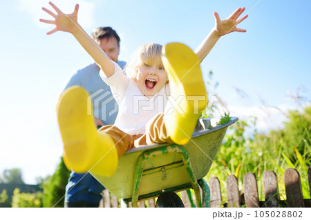 Happy little boy having fun in a wheelbarrow pushing by dad in domestic garden on warm sunny day. Active outdoors games for kids in summer. Happy little boy having fun in a wheelbarrow pushing by dad in domestic garden on warm sunny day. Active outdoors games for kids in summer. 105028802