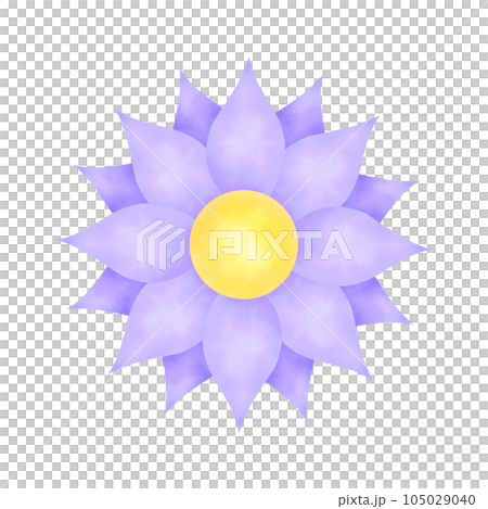 Pastel Lilac Watercolor Flower with Yellow Pollen Pastel Lilac Watercolor Flower with Yellow Pollen 105029040