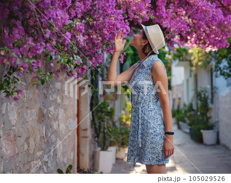 Blooming bougainvillea, streets of the old town of Bodrum, Turkey 105029526