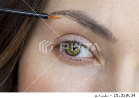 A woman applies eyebrow growth product, close-up 105029604