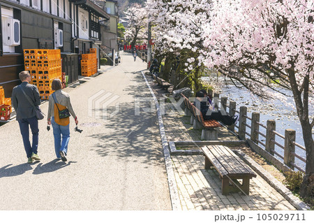 230404中橋桜イラスト5z247 230404中橋桜イラスト5z247 105029711