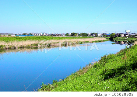 宮東橋から500mほど上流左岸から上流を向いて撮った田園風景 105029908