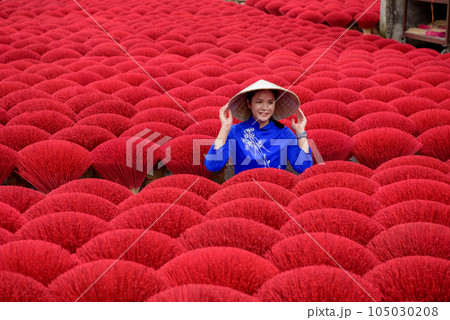 Asian woman in a traditional ao dai dress 105030208