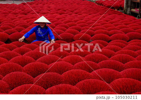 Asian woman in a traditional ao dai dress 105030211