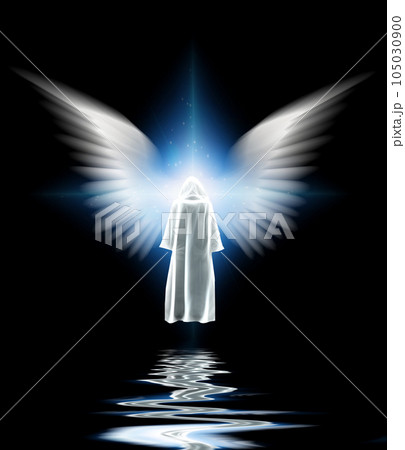 Winged star 105030900