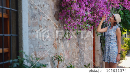 Blooming bougainvillea, streets of the old town of Bodrum, Turkey Blooming bougainvillea, streets of the old town of Bodrum, Turkey 105031374