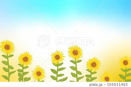 太陽に向かって咲くひまわり 105031483