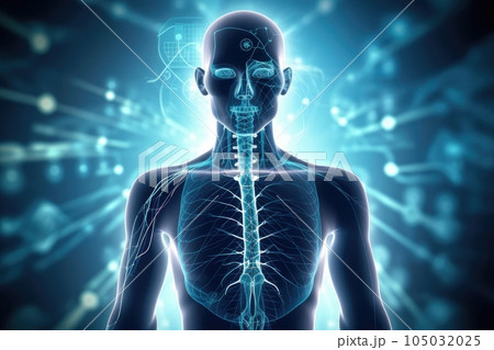 concept of human anatomy and science in medicine. study of the human body. 105032025