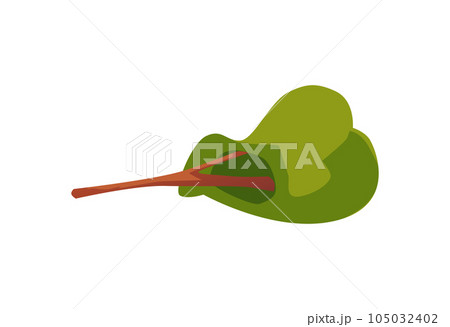 Cartoon green tree fell down following an earthquake, hurricane or other natural disaster, vector isolated illustration 105032402