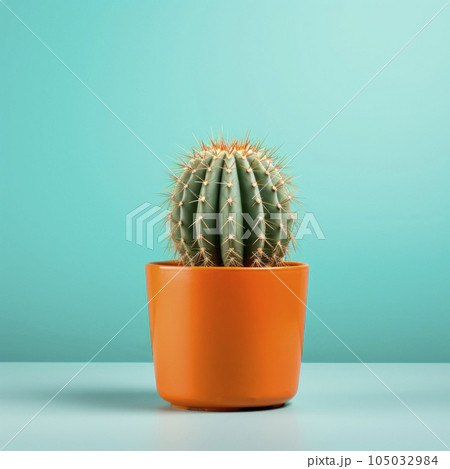 A green cactus with thorns grows in a ceramic pot. Minimalism. A bright banner. A green cactus with thorns grows in a ceramic pot. Minimalism. A bright banner. 105032984