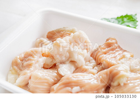 食品トレーに入ったシマチョウ 食品トレーに入ったシマチョウ 105033130