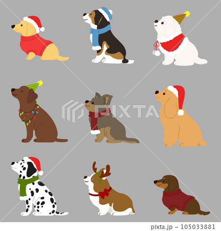 横を向いてお座りするクリスマス仕様の可愛い犬のイラストセット 主線なし 横を向いてお座りするクリスマス仕様の可愛い犬のイラストセット 主線なし 105033881