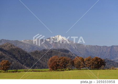 秋の十勝の紅葉風景 秋の十勝の紅葉風景 105033958