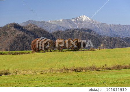 秋の十勝の紅葉風景 秋の十勝の紅葉風景 105033959